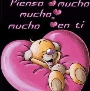 Meet your Posher, Rosa